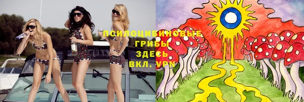 шишки Верхний Тагил