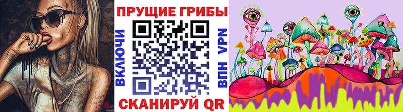 Галлюциногенные грибы Magic Shrooms купить сайты Зубцов