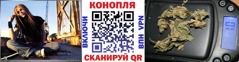 Бошки марихуана White Widow  даркнет как зайти  Зубцов 
